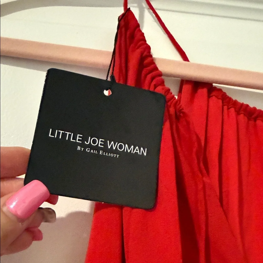 Chic Red Ruffle Mini Dress - Picture 4 of 8